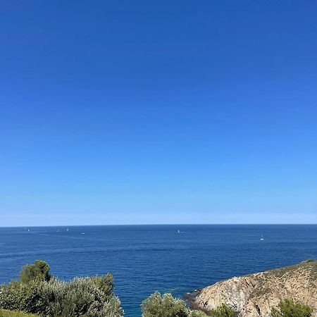 Studio-Cabine A Banyuls-Sur-Mer Climatise, Terrasse, Parking, Wi-Fi - Fr-1-309-210 ภายนอก รูปภาพ